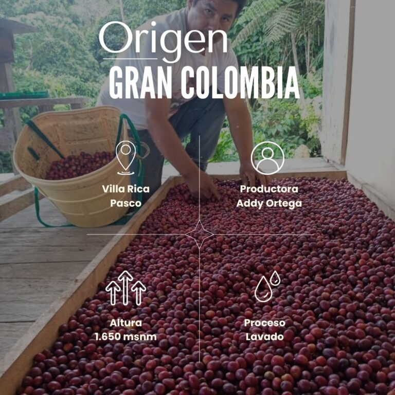 Origen Gran Colombia